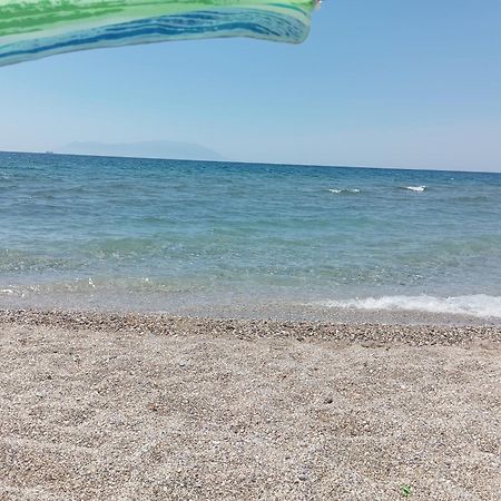Agia Paraskevi  Bloom Kyani Akti 아파트 외부 사진